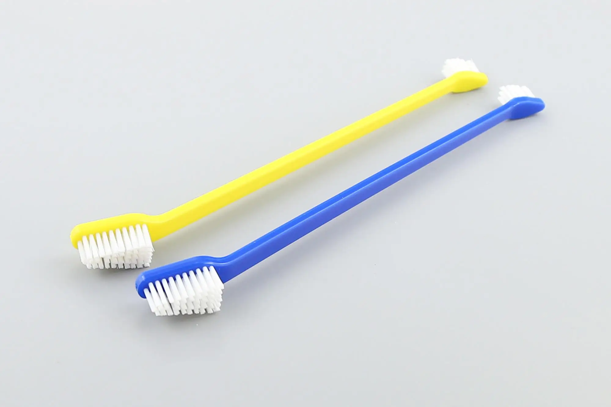 dog-tb-s002-details (1).JPG