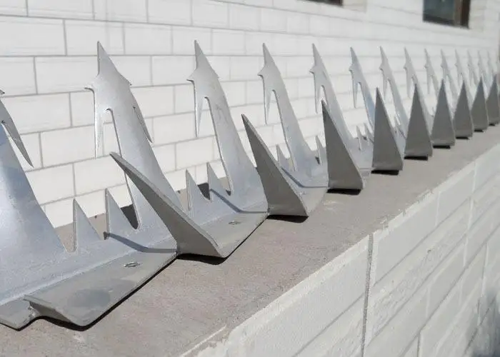 Anti Climb Wall Spike,Razor Spikes - Buy Security Wall Spikes,Wall ...