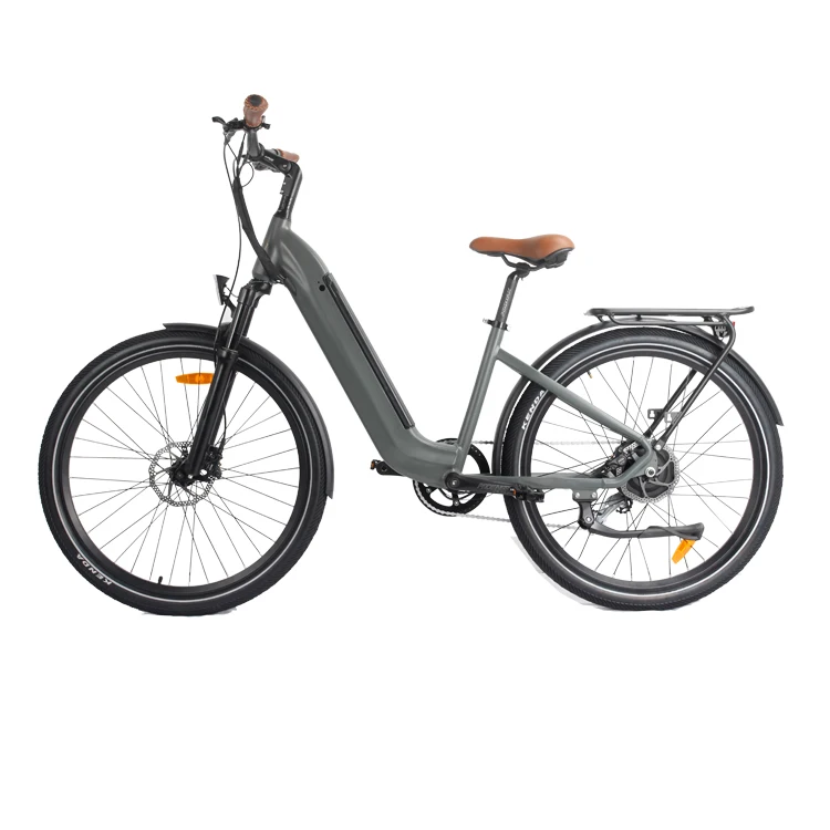 700 watt electric bike