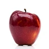 USA wholesale packing fresh organic apples export price