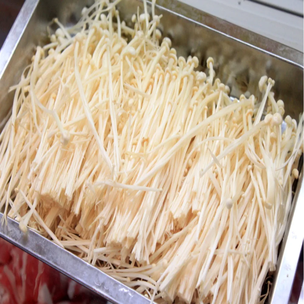 
Chinese farm supple fresh Enoki mushroom 