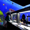 indoor playground AR products interactive drawing interactive projection games