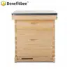 Benefitbee beekeeping tools dadant bee hive Wood Dadant Beehive