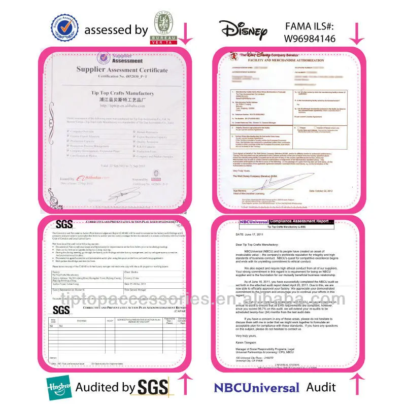 audit report Disney FAMA.jpg