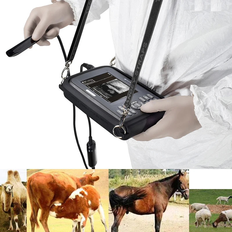 
Veterinary VET Ultrasound Machine scanner with rectal or convex probe for cattel horse sheep cat dog pig etc  (60698042002)
