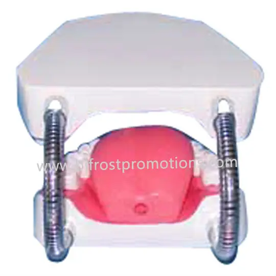 BP72027 Dental Education Model-2-w.jpg