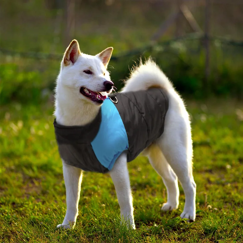 Chaquetas De Perro Para Los Perros Grandes de alta calidad