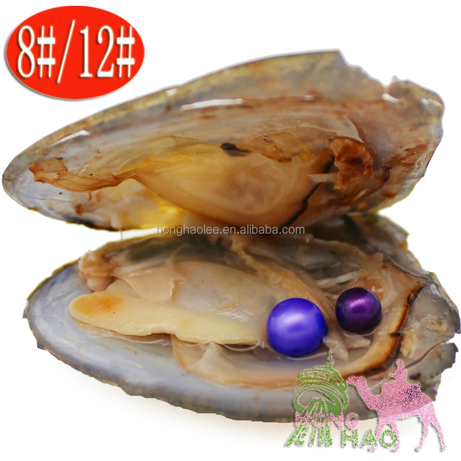 

wholesale AAAA grade 6-7 mm freshwater AKOYA round pearl vacuum packed twin 28 Color Pearl Charm unlimited jewelry