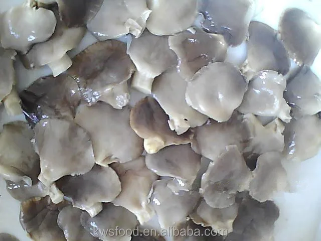 
Abalone Mushroom in Can in Brine 