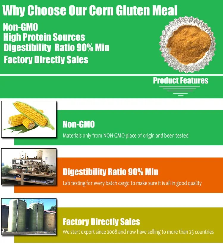 Animal Feed Corn Gluten Meal Importer For 60 65 Protein Buy Animal