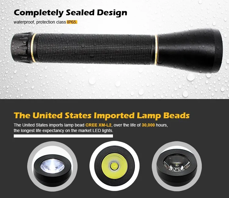 Nordson-E600-LED-Lighting-Torch-RFID-Guard-Tour-Probe_03.jpg