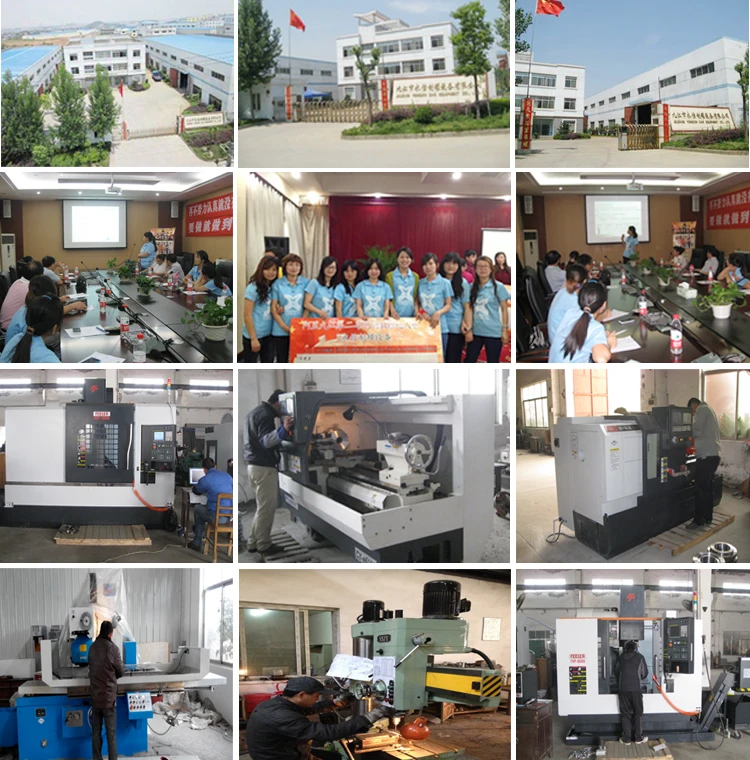 company information.jpg