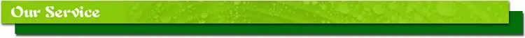 Our service.jpg