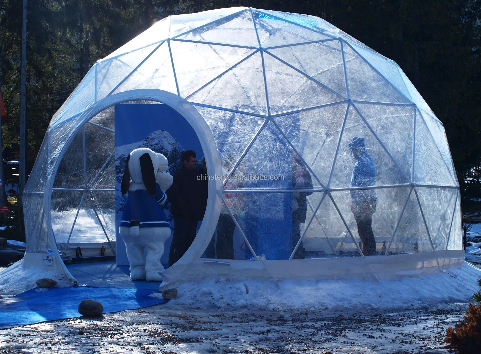 8m Small Aluminium Geodesic Garden Igloo Tent / Four Season ...