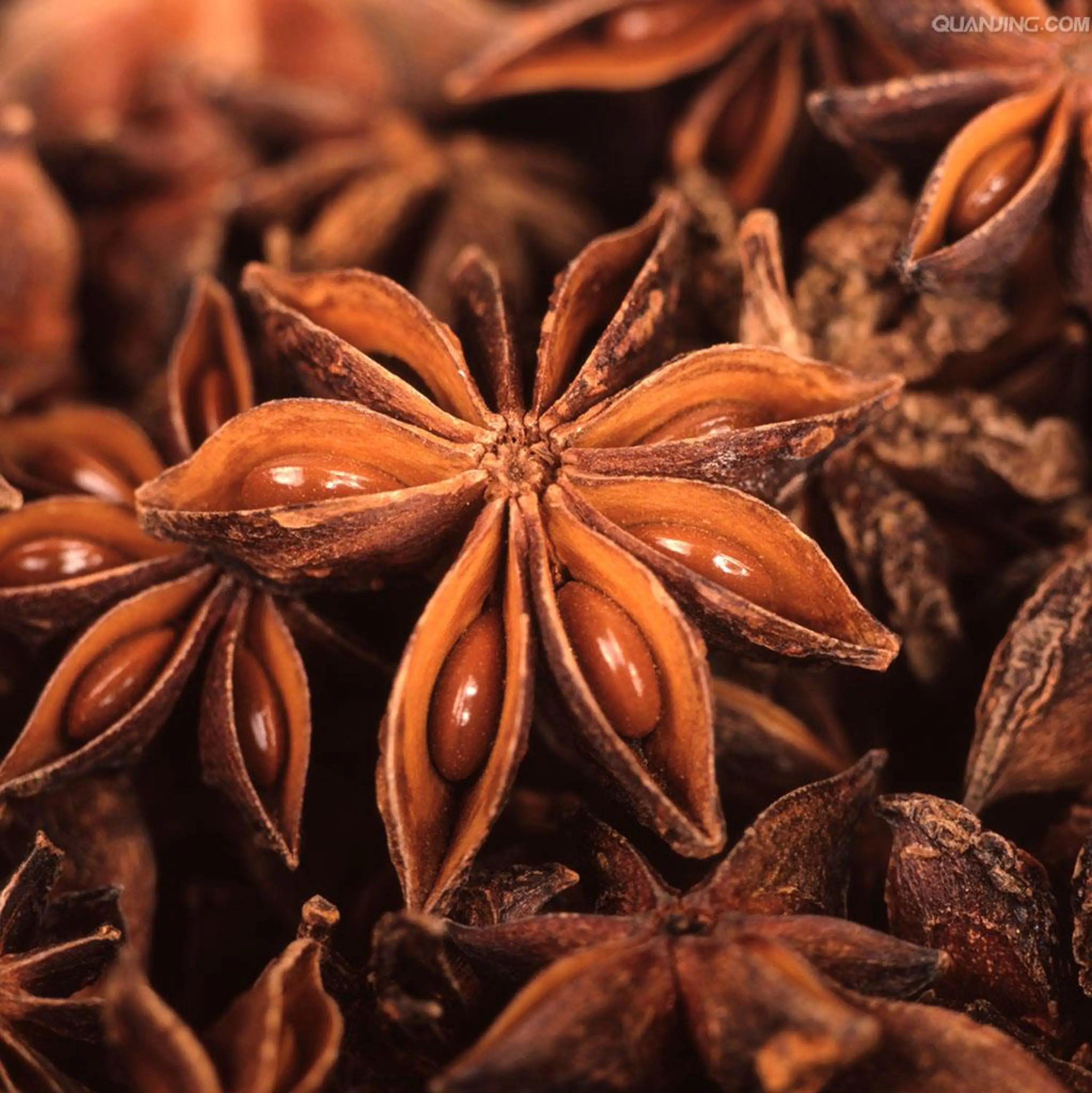 Ba Jiao Excellent Quality Wild Herb Medicine Star Anise Seeds Prices