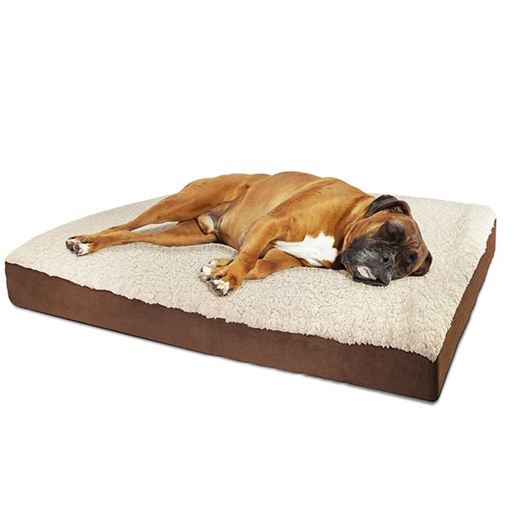 large dog beds clearance