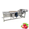 Hot selling fruit vegetable eddy current cleaning machine air bubble washing for vegetable fruit