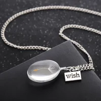 

Natural Dandelion Specimen Glass Pendant Necklace Charm Women Oval Time Necklace For Women Gift