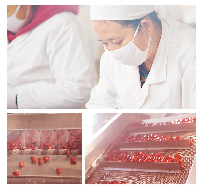 freeze dry fruit jujube freeze-dried dates