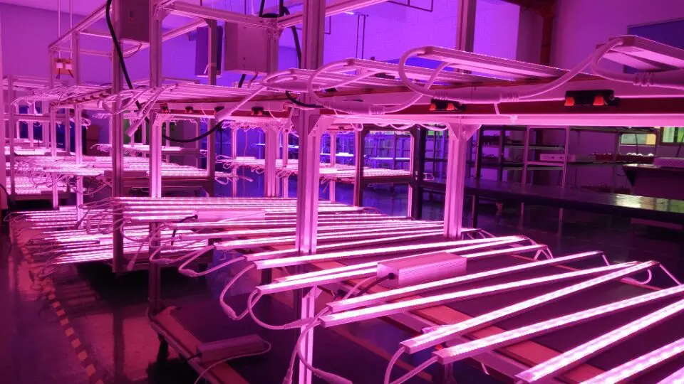 vertical led grow lights