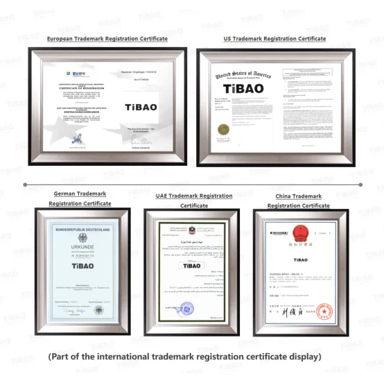 paste-pic-dp_uuid_us0e1