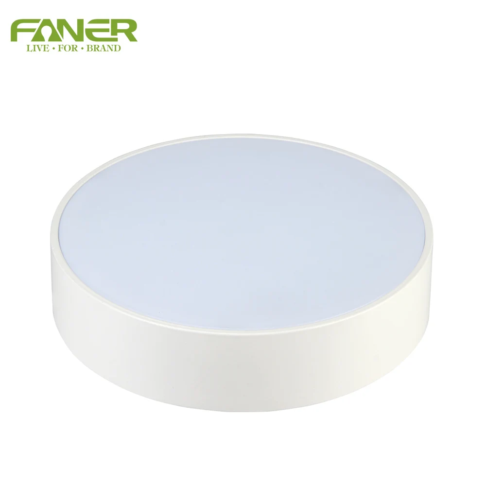 
SF-206 Series Rimless LED Surface Mounted Down Light 