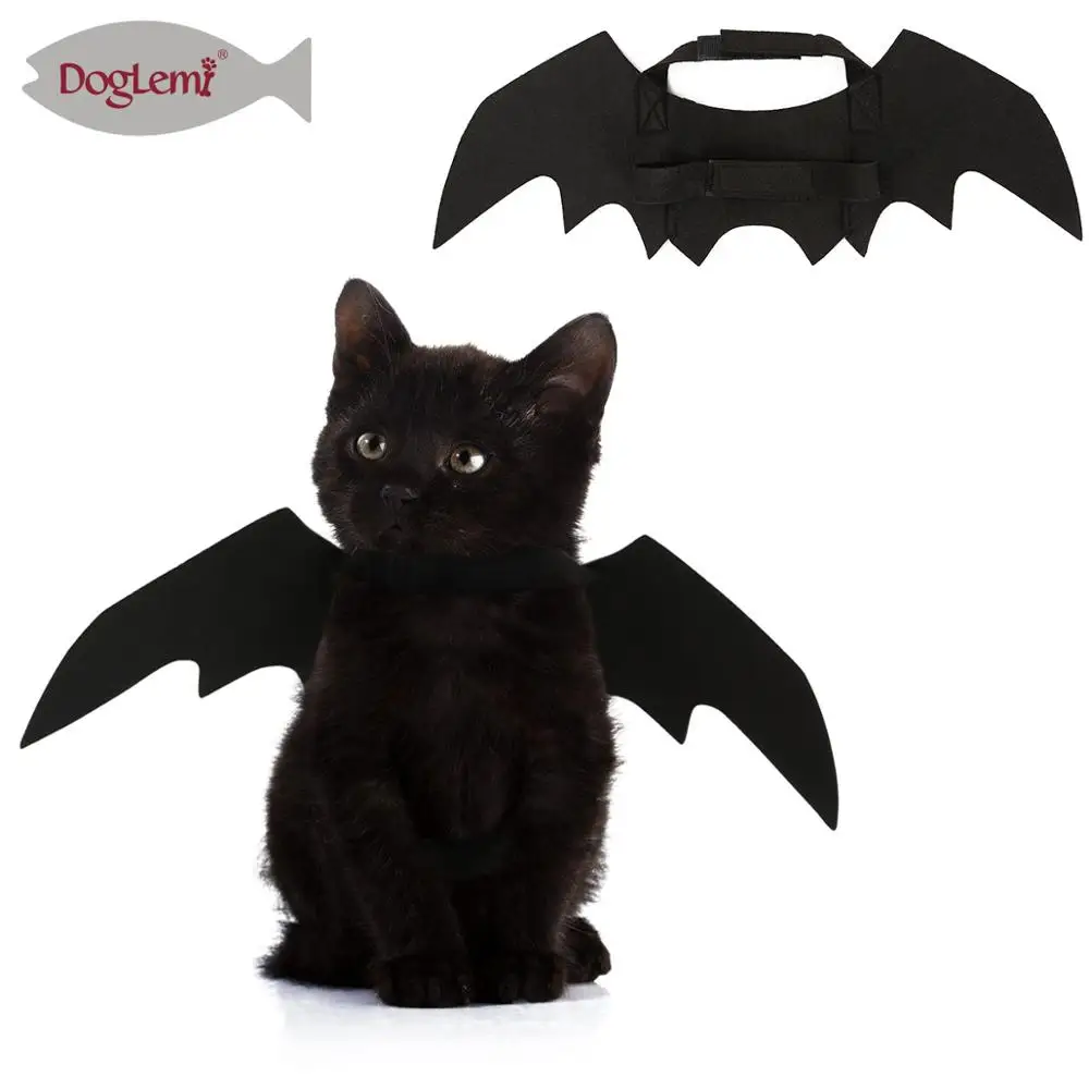 

Halloween Pet Dress Up clothing Cat Costume, Black
