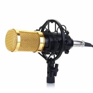 BM800 Professional Studio Condenser Microphone Recording
