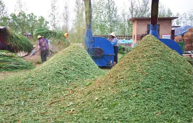 grass grinding machine
