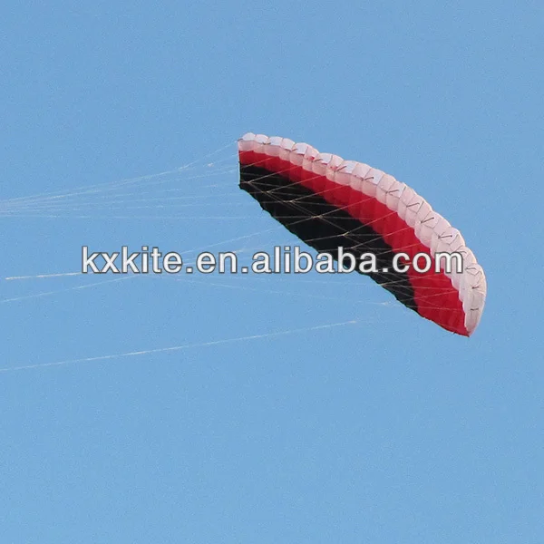 Quad line power kite 3.jpg