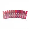 Waterproof Long Lasting Beauty Cosmetics Makeup Liquid Lipstick Private Label Matte Lip Gloss