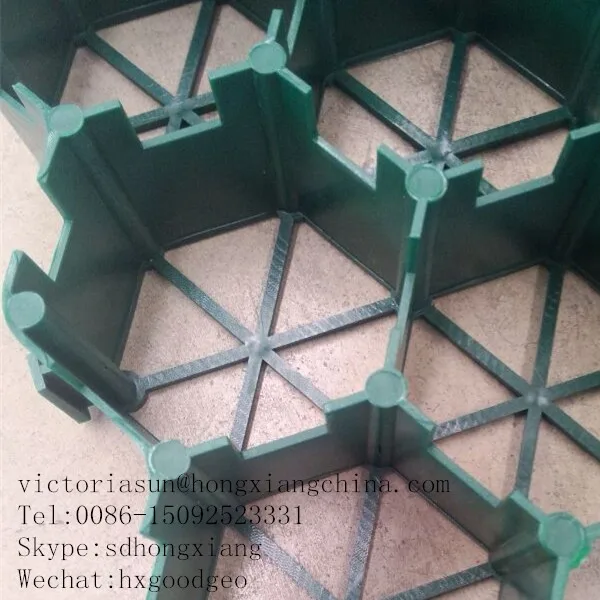 detail picture of grass grid.jpg