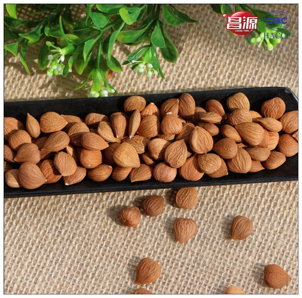 
Raw bitter Apricot Kernel Crop 2017 (BAK) 