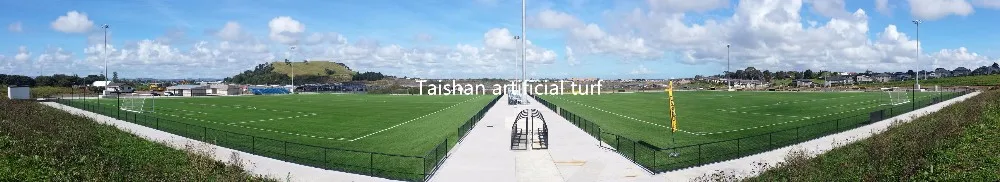 OFC-Field 1 & 2..jpg