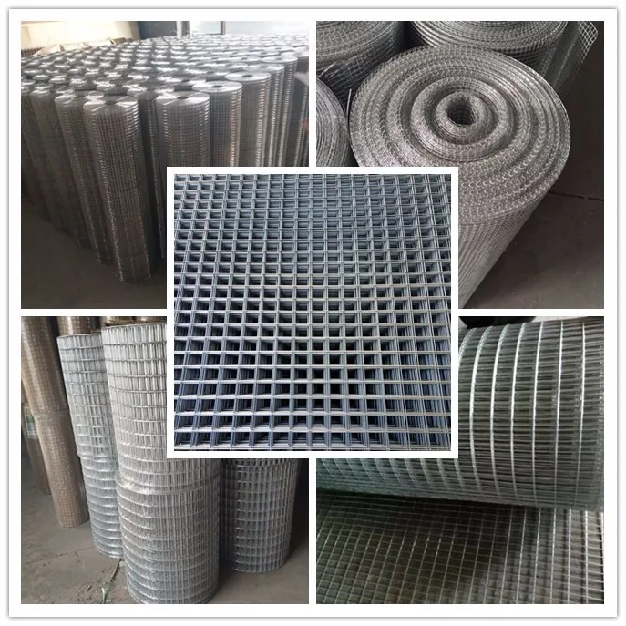Welded Wire Mesh Rolls Price List For Salehot Dipped Galvanized Welded