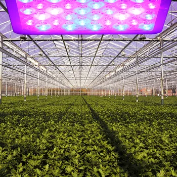 Led Grow Light For Hydroponics Indoor Greenhouse Tent Underground Plants Growing Lighting 1000w Kits Led Grow Light For Hydroponics Indoor Greenhouse Tent Underground Plants Growing Lighting 1000w Kits