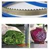 High Quality Fish Cutting 1950 Cutter Blade Frozen Meat Cut Coil Taps
