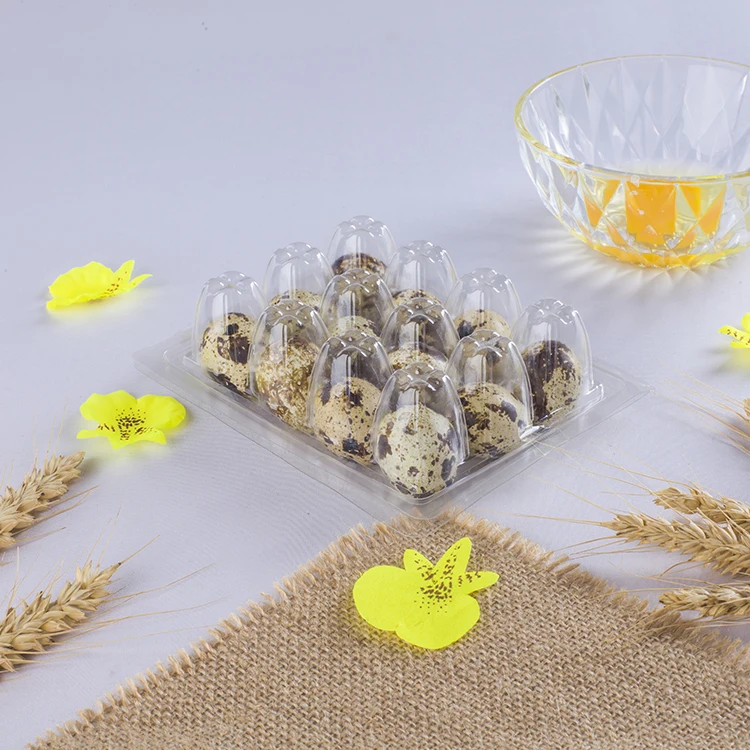 12 Holes Quail Egg Tray Packing Clear Disposable Plastic Quail Egg Tray