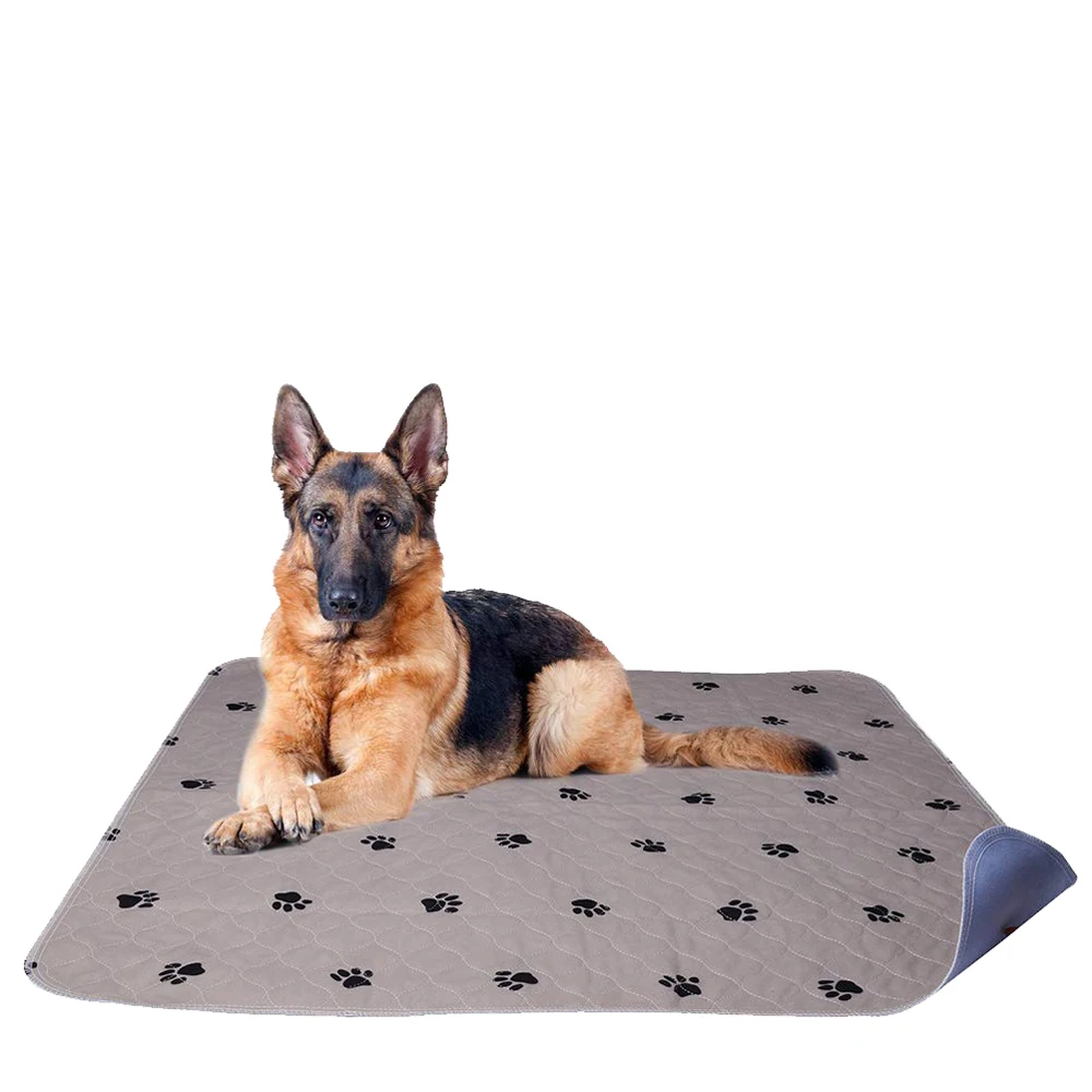 

July Custom Comfortable Water Absorbent Puppy Dog Training Pet