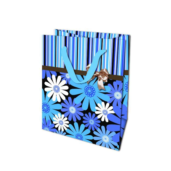 buy cute paper bags vendor for gift packing-16