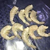 Whole Raw/Cooked HLSO Frozen Vannamei Shrimp