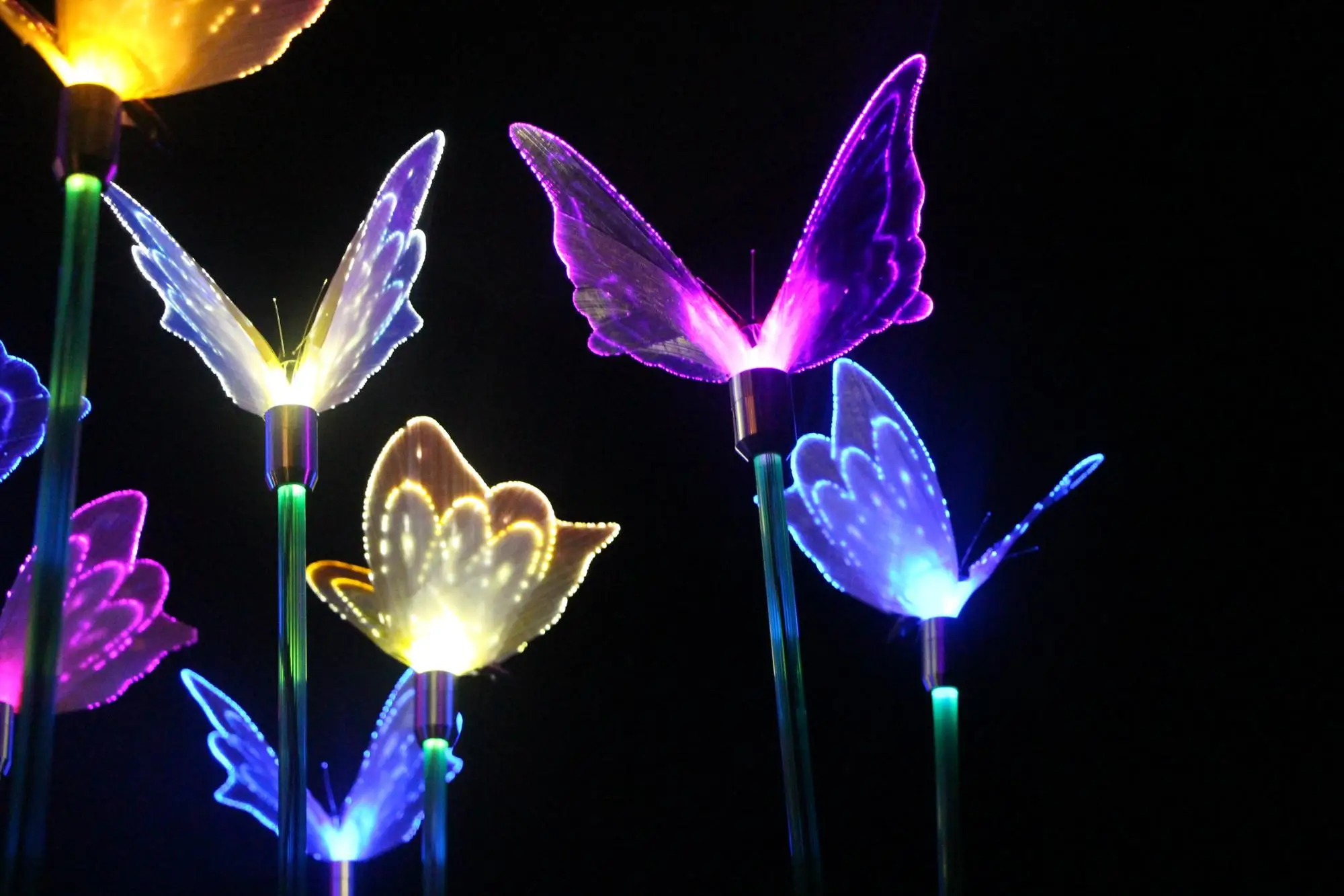 室外led 光纤蝴蝶景观草坪灯花园公园夜灯装饰