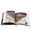 Professional art picture paperback a3 paper book binding