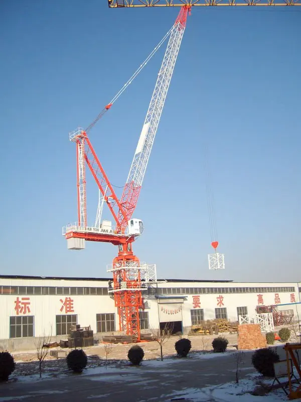 Shandong D120 6T Luffing Jib Tower Crane