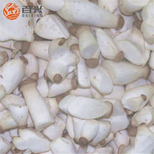 
Export Grade Fresh King Oyster Mushroom 