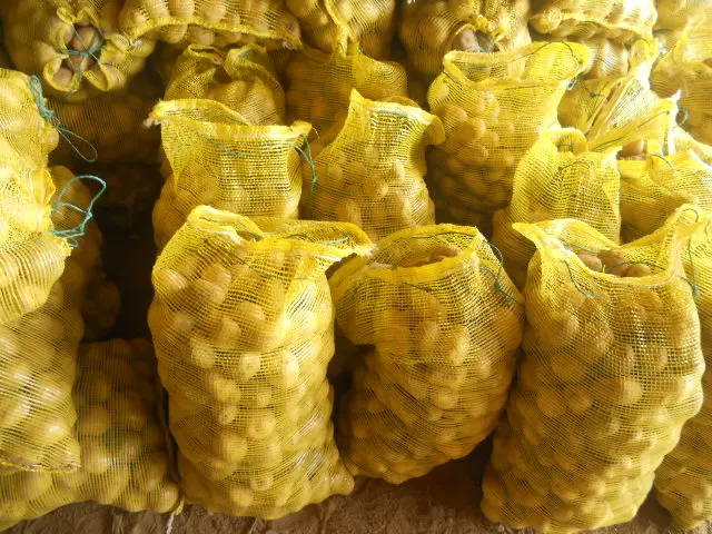 DSCN3995