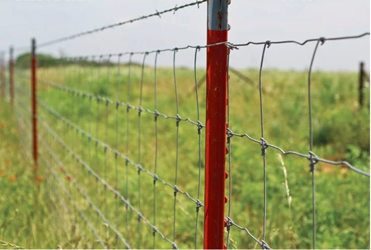 Stock Fence High Tensile Ht8 80 15  80cm X 100m 3mm 2.5mm Draht - Buy 