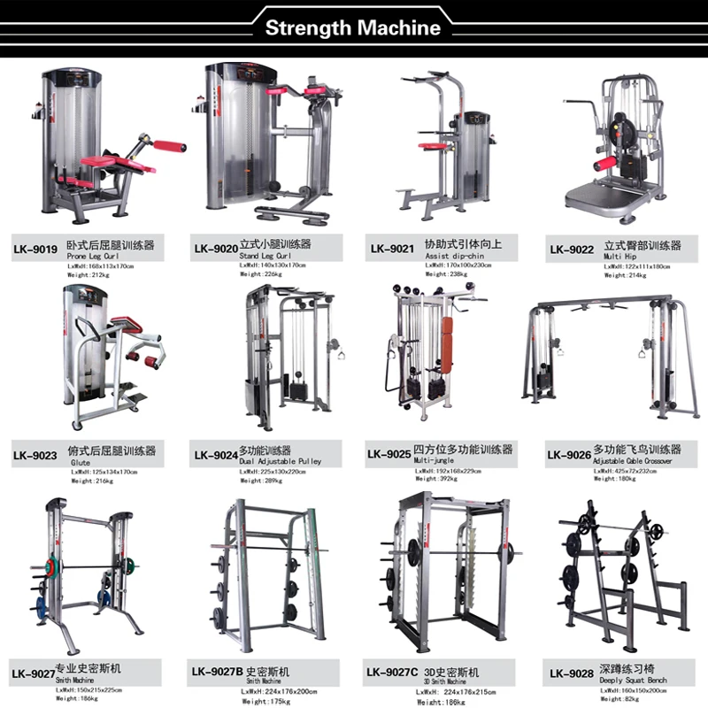 Arm Workout Equipment Names Blog Dandk