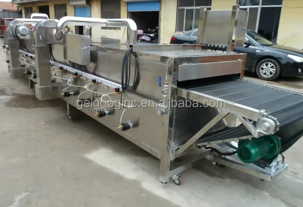 Industrial Ozone Fruit and Vegetable Washer and Dryer Prices, Commercial Vegetable Washer