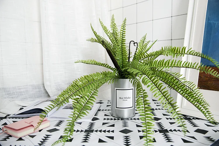 Persian Grass (3).jpg